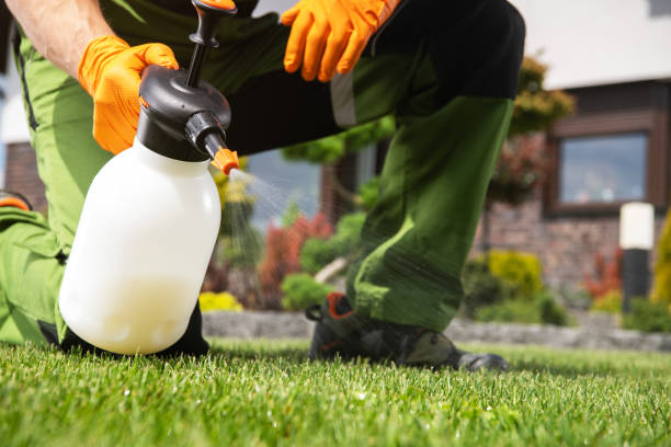 Best Best Pest Control Companies  in Harbor Isle, NY