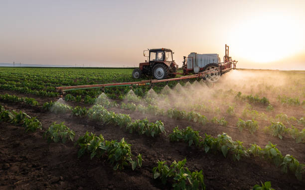 Best Pest Control Treatment  in Harbor Isle, NY