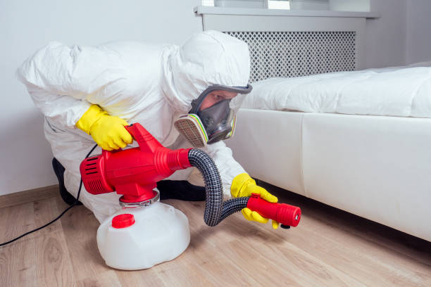 Best Exterminator Services  in Harbor Isle, NY